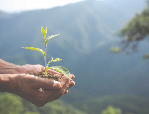 Schneider Electric impulsa la gestión ambiental con nueva herramienta digital para empresas